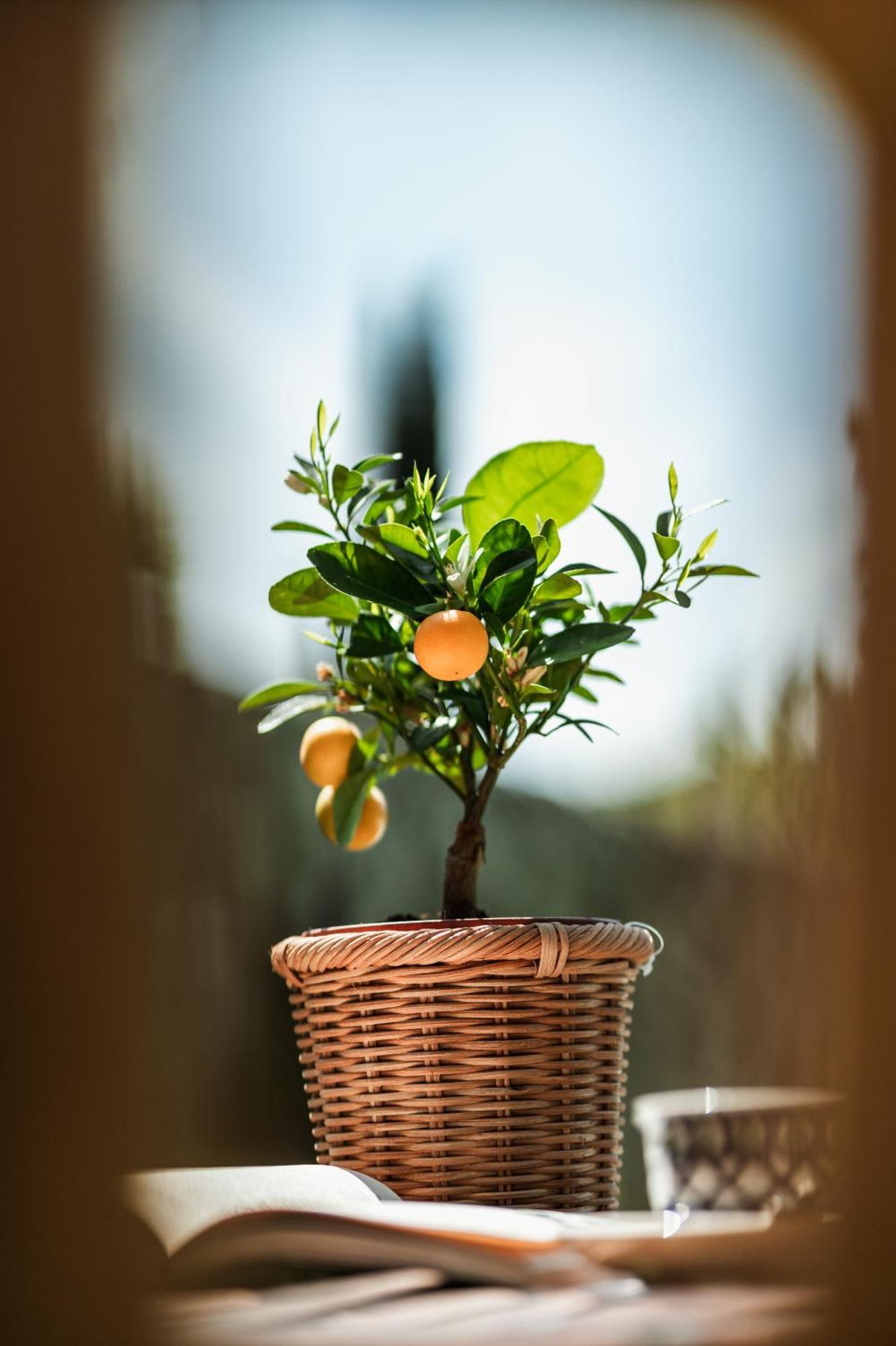 Rovezzano B&B Florence Buitenkant foto